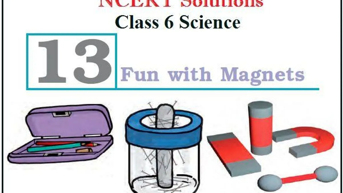 Class 6 Science Fun with Magnets